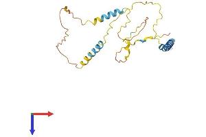 BNIP3L/NIX Protein (AA 1-219) (His tag)