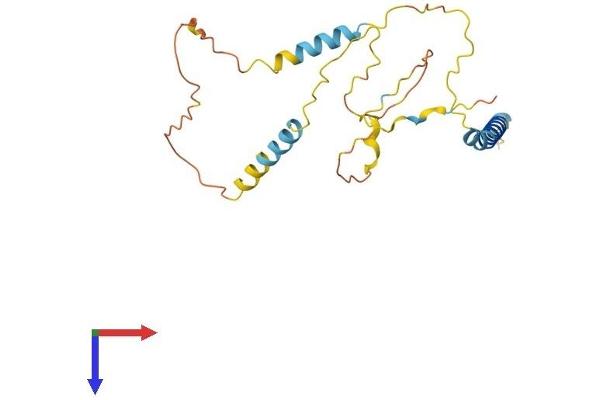 BNIP3L/NIX Protein (AA 1-219) (His tag)