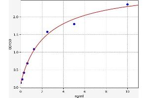 Eukaryotic Translation Initiation Factor 2-alpha Kinase 2 (EIF2AK2) ELISA Kit