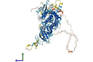 Protein Structure (PS) image for LIM Domain Kinase 1 (LIMK1) (AA 1-647) protein (His tag) (ABIN7554431)