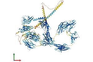 Protein Structure (PS) image for Myomesin 2 (MYOM2) (AA 1-1465) protein (His tag) (ABIN7554649)