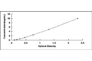 Typical standard curve (C1ql1 ELISA Kit)