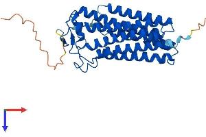 PAQR3 Protein (AA 1-311) (His tag)
