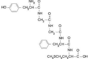 Image no. 1 for Proenkephalin (PENK) (Met5) peptide (ABIN399899)