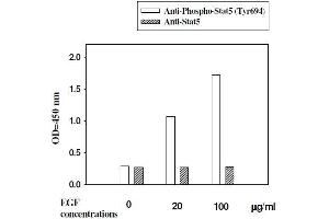 A431 cells were stimulated by different concentrations of EGF for 10 minutes at 37 °C (STAT5A ELISA Kit)