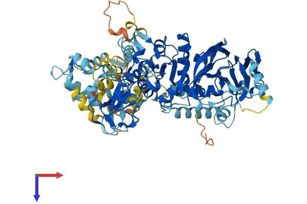 DGKA Protein (AA 1-730) (His tag)