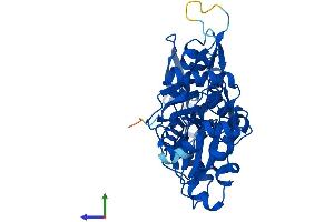 Protein Structure (PS) image for Actin, gamma 1 (ACTG1) (AA 1-375) protein (His tag) (ABIN7556653)