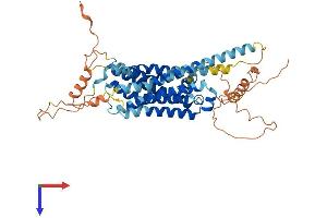 DRD5 Protein (AA 1-477) (His tag)