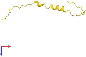 PRAC Protein (AA 1-57) (Fc Tag)