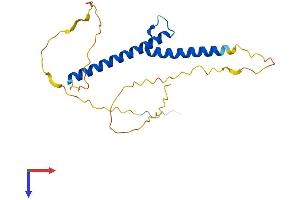 Neurogenin 3 Protein (NEUROG3) (AA 1-214) (His tag)