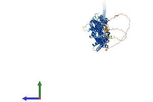 Protein Structure (PS) image for Exocyst Complex Component 7 (EXOC7) (AA 1-735) protein (His tag) (ABIN7553838)