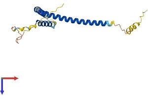 MED28 Protein (AA 1-178) (His tag)