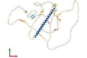 AlphaFold protein structure predicition of Human Recombinant TSC22D4 Protein, UniprotID Q9Y3Q8 (TSC22D4 Protein (AA 1-395) (His tag))
