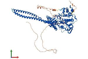 Protein Structure (PS) image for Lysine (K)-Specific Demethylase 1A (KDM1A) (AA 1-853) protein (His tag) (ABIN7564169)