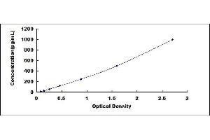 Typical standard curve (CCL22 ELISA Kit)