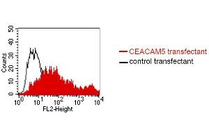 FACS analysis of BOSC23 cells using 26/5/1. (CEACAM5 Antikörper)
