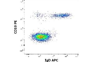 Flow cytometry multicolor surface staining of human lymphocytes stained using anti-human IgD (IA6-2) APC antibody (10 μL reagent / 100 μL of peripheral whole blood) and anti-human CD19 (LT19) PE antibody (20 μL reagent / 100 μL of peripheral whole blood). (Maus anti-Human IgD Antikörper (APC))