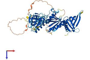 SNTA1 Protein (AA 1-505) (His tag)