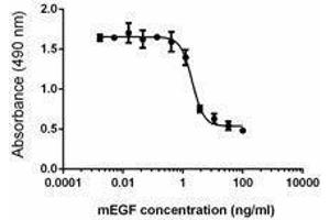 ELISA image for Epidermal Growth Factor (EGF) (AA 977-1029) (Active) protein (ABIN2666932) (EGF Protein (AA 977-1029))