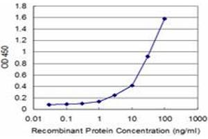 Detection limit for recombinant GST tagged FH is approximately 1ng/ml as a capture antibody. (FH Antikörper  (AA 33-510))