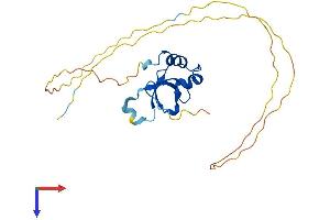 HDGF Protein (AA 1-237) (His tag)