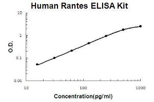 Human Rantes PicoKine ELISA Kit standard curve
