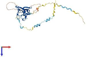 MVB12B Protein (AA 1-319) (His tag)