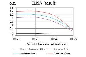 Black line: Control Antigen (100 ng), Purple line: Antigen(10 ng), Blue line: Antigen (50 ng), Red line: Antigen (100 ng), (NEDD8 Antikörper)