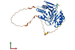 Protein Structure (PS) image for Ribose 5-Phosphate Isomerase A (RPIA) (AA 1-311) protein (His tag) (ABIN7551556)