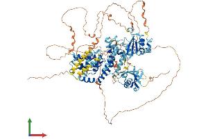 Protein Structure (PS) image for Ras and Rab Interactor 2 (RIN2) (AA 1-895) protein (His tag) (ABIN7555217)