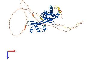 AMMECR1 Protein (AA 1-344) (His tag)