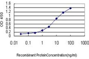 Detection limit for recombinant GST tagged HBB is approximately 0.