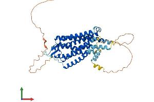 Protein Structure (PS) image for Neurotensin Receptor 1 (High Affinity) (NTSR1) (AA 1-424) protein (His tag) (ABIN7562590)
