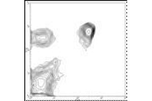 Image no. 1 for anti-CD4 (CD4) antibody (FITC) (ABIN474076) (CD4 Antikörper  (FITC))