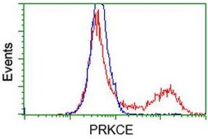 HEK293T cells transfected with either RC217702 overexpress plasmid (Red) or empty vector control plasmid (Blue) were immunostained by anti-PRKCE antibody (ABIN2454195), and then analyzed by flow cytometry. (PKC epsilon Antikörper)