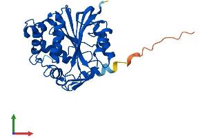 Protein Structure (PS) image for Phenylethanolamine N-Methyltransferase (PNMT) (AA 1-282) protein (His tag) (ABIN7550900)