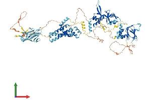 Protein Structure (PS) image for Cyclin M2 (CNNM2) (AA 1-875) protein (His tag) (ABIN7553534)