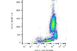 Flow cytometry analysis (surface staining) of CD18 in human peripheral blood with anti-CD18 (MEM-148) PE. (Integrin beta 2 Antikörper  (PE))