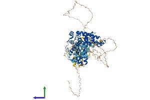 Protein Structure (PS) image for TBC1 Domain Family, Member 16 (TBC1D16) (AA 1-767) protein (His tag) (ABIN7544291)