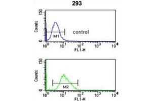 Flow Cytometry (FACS) image for anti-CDC14 Cell Division Cycle 14B (CDC14B) antibody (ABIN3004026) (CDC14B Antikörper)