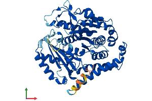 Protein Structure (PS) image for Tubulin, beta 6 (TUBb6) (AA 1-447) protein (His tag) (ABIN7560218)