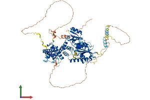 Protein Structure (PS) image for NOP2/Sun Domain Family, Member 7 (NSUN7) (AA 1-718) protein (His tag) (ABIN7550028)