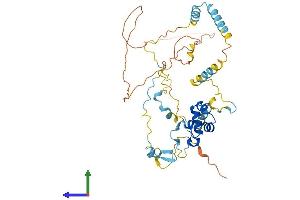Protein Structure (PS) image for erythrocyte Membrane Protein Band 4.9 (Dematin) (EPB49) (AA 1-405) protein (His tag) (ABIN7565230)