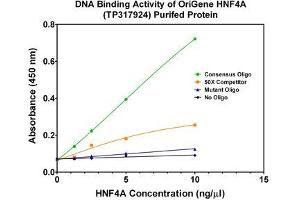 Bioactivity measured with Activity Assay (HNF4A Protein (Transcript Variant 3) (Myc-DYKDDDDK Tag))
