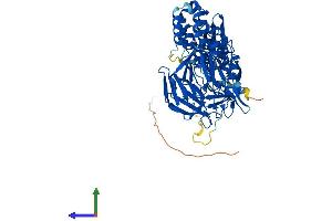 Protein Structure (PS) image for Kelch-Like ECH-Associated Protein 1 (KEAP1) (AA 1-624) protein (His tag) (ABIN7565305)