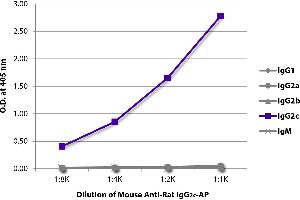 ELISA plate was coated with purified rat IgG1, IgG2a, IgG2b, IgG2c, and IgM. (Maus anti-Ratte IgG2c Antikörper (Alkaline Phosphatase (AP)))