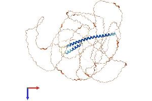 AlphaFold protein structure predicition of Human Recombinant NBPF14 Protein, UniprotID Q5TI25 (NBPF14 Protein (AA 1-921) (His tag))