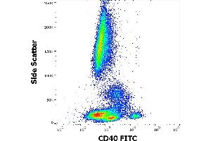 Flow cytometry surface staining pattern of human peripheral whole blood stained using anti-human CD40 (HI40a) FITC antibody (20 μL reagent / 100 μL of peripheral whole blood). (CD40 Antikörper  (FITC))