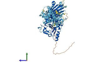 Protein Structure (PS) image for Calpain 11 (CAPN11) (AA 1-739) protein (His tag) (ABIN7552996)