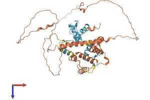ZBTB42 Protein (AA 1-422) (His tag)